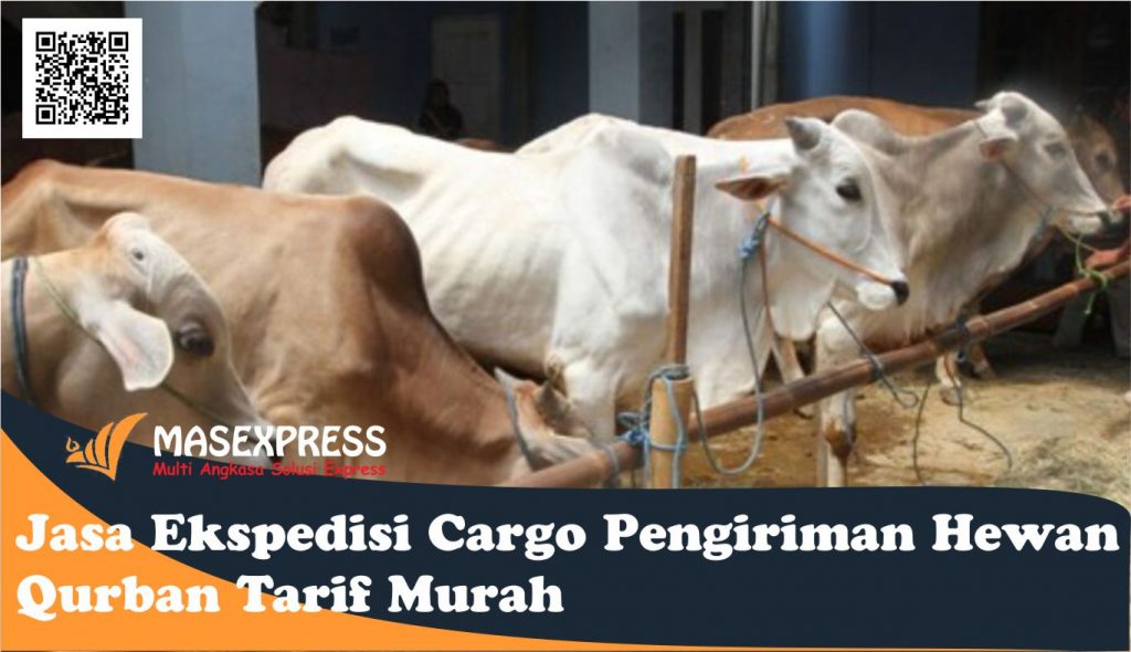 Jasa Ekspedisi Cargo Pengiriman Hewan Qurban Tarif Murah